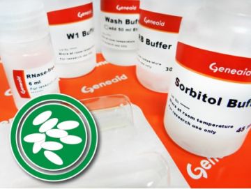 FroggaBio USA Inc - Presto Mini RNA Yeast Kit